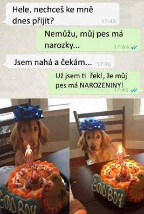 SMS: Psie narodeniny