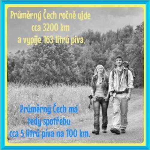 Spotreba priemerného Čecha