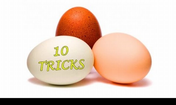 TOP 10 najlepších trikov s vajíčkami