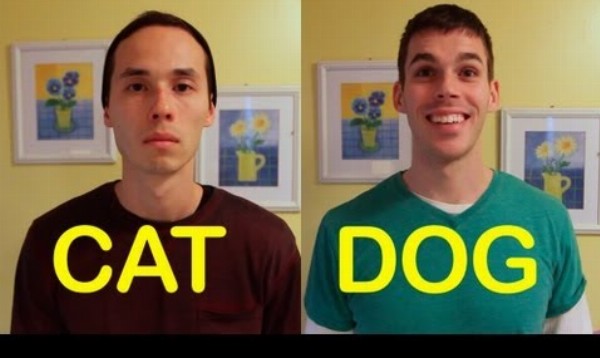 Ľudský kamarát pes vs mačka