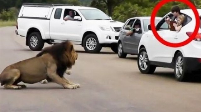 Video, ktoré vás pravdepodobne dojme a nenechá chladnými