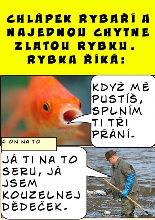 Zlatá rybka VS kúzelný deduško